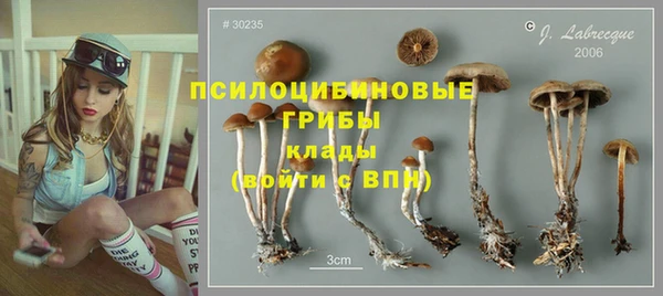 дмт Приозерск