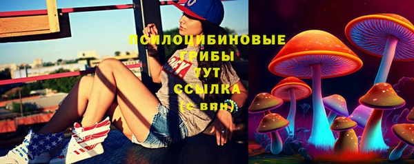 бутират Пролетарск