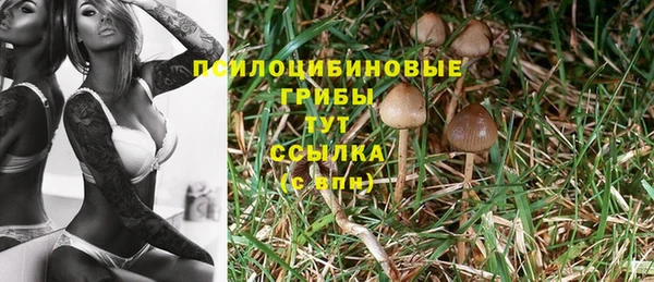 дмт Приозерск
