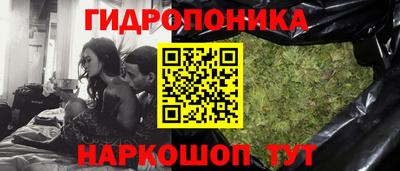 сатива Абинск