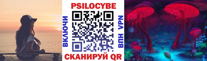 Псилоцибиновые грибы Psilocybine cubensis  Абинск 