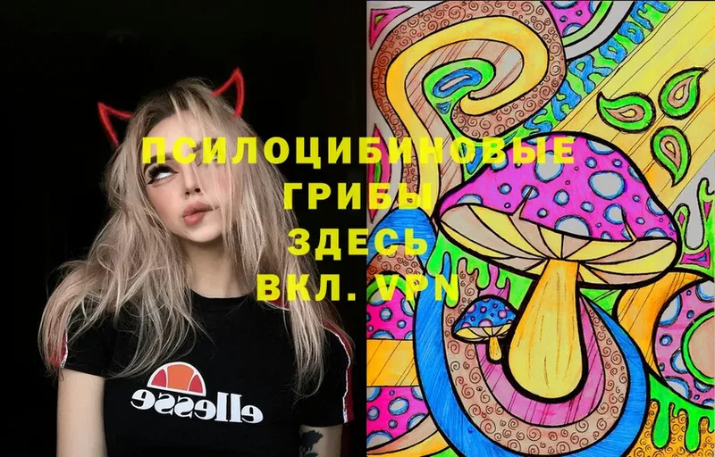 Галлюциногенные грибы Psilocybe  закладка  Абинск 