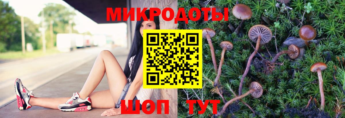 Псилоцибиновые грибы мухоморы  Вход с VPN  Абинск  Галлюциногенные грибы MAGIC MUSHROOMS 