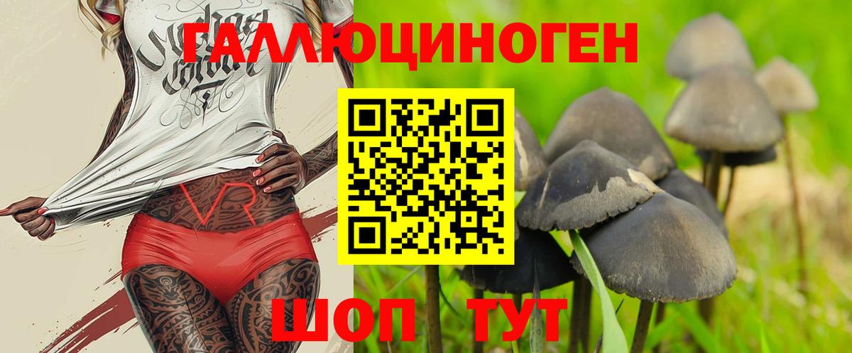 Псилоцибиновые грибы Cubensis  Абинск 